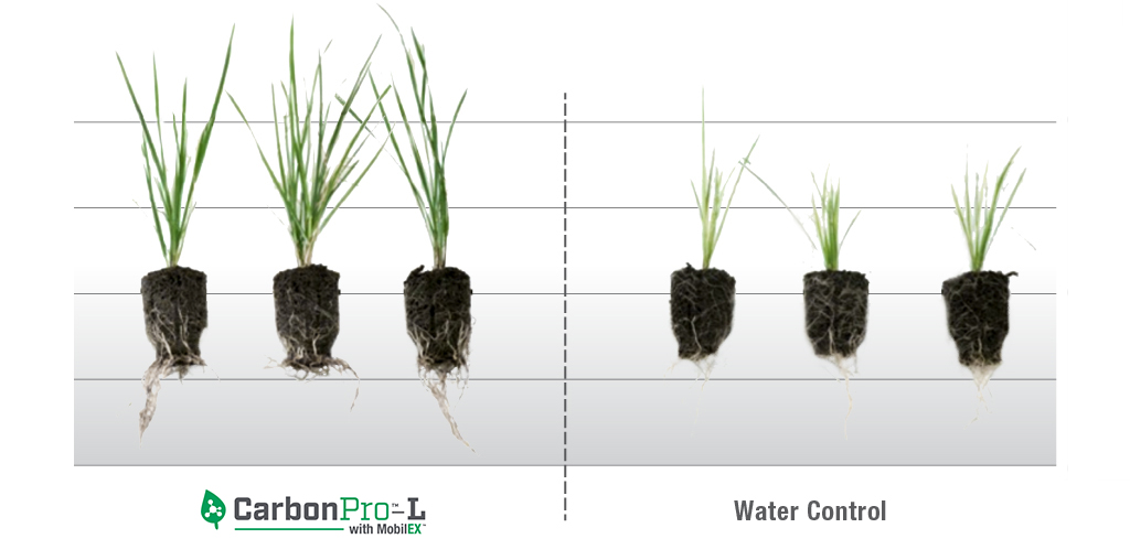 CarbonPro-L Chart