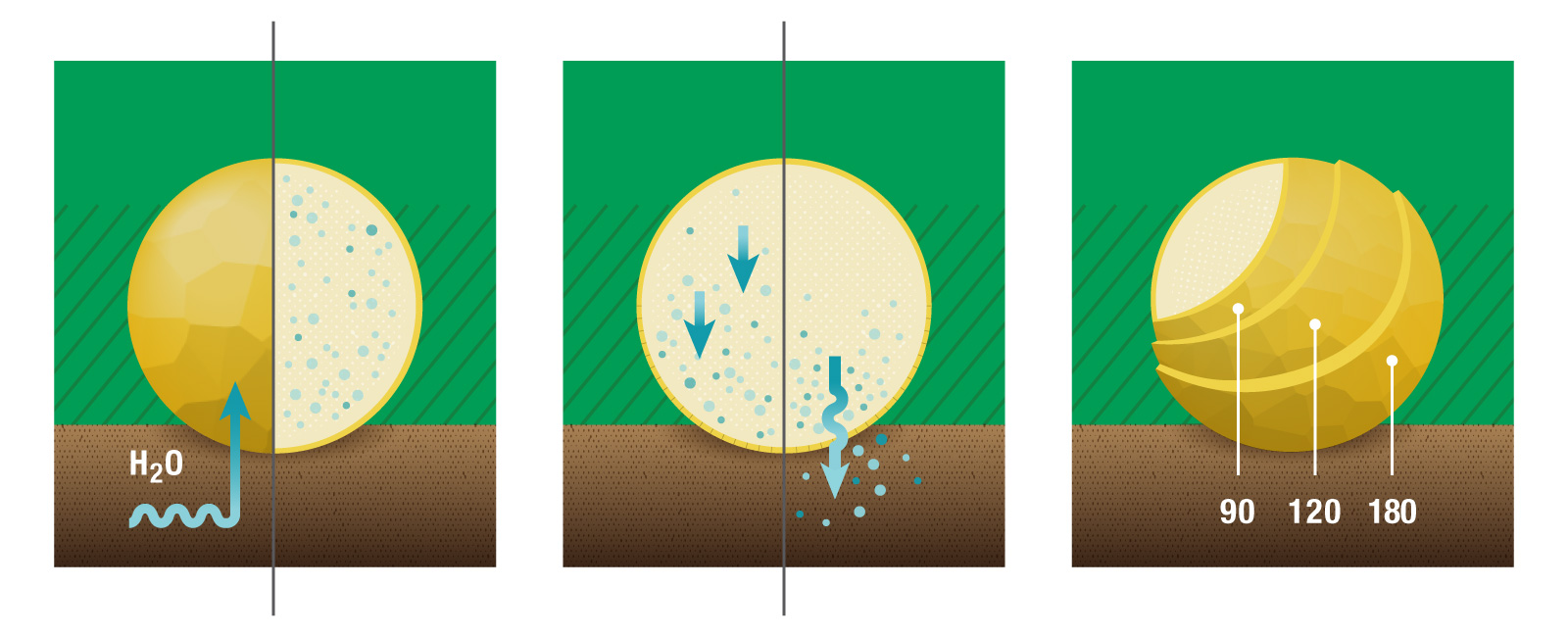 PolyPlus-Opti How it Works